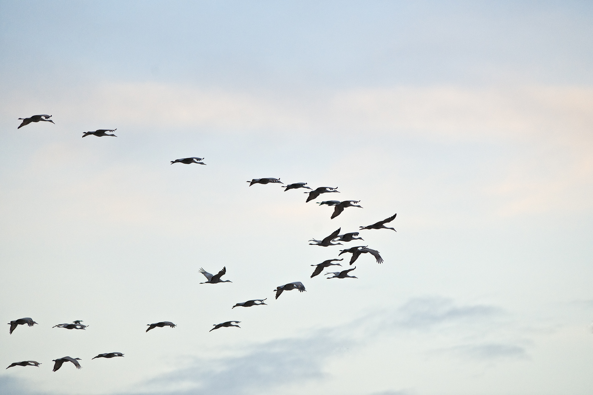 Heading for the Diner