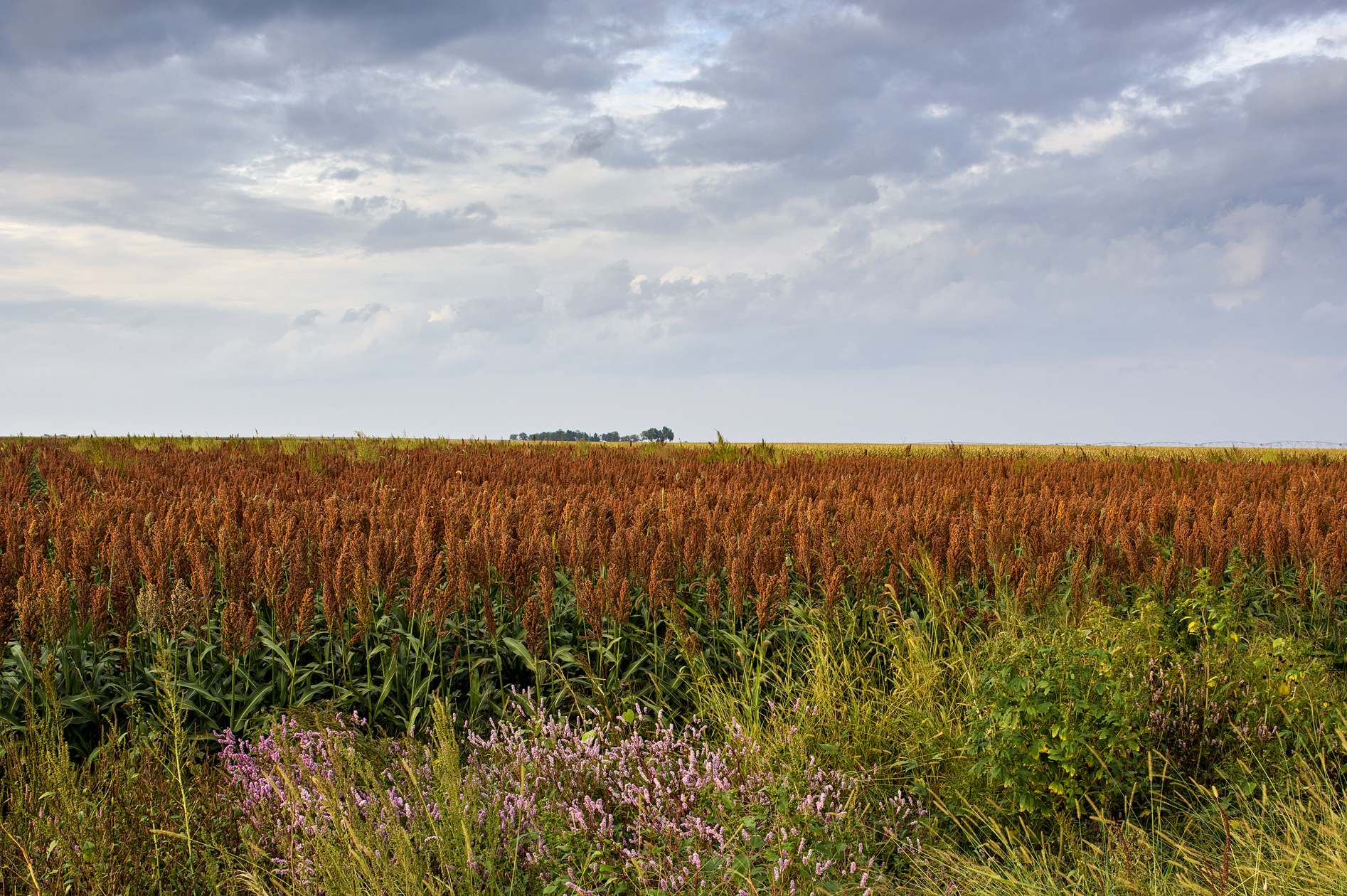 Heading Out in the Field