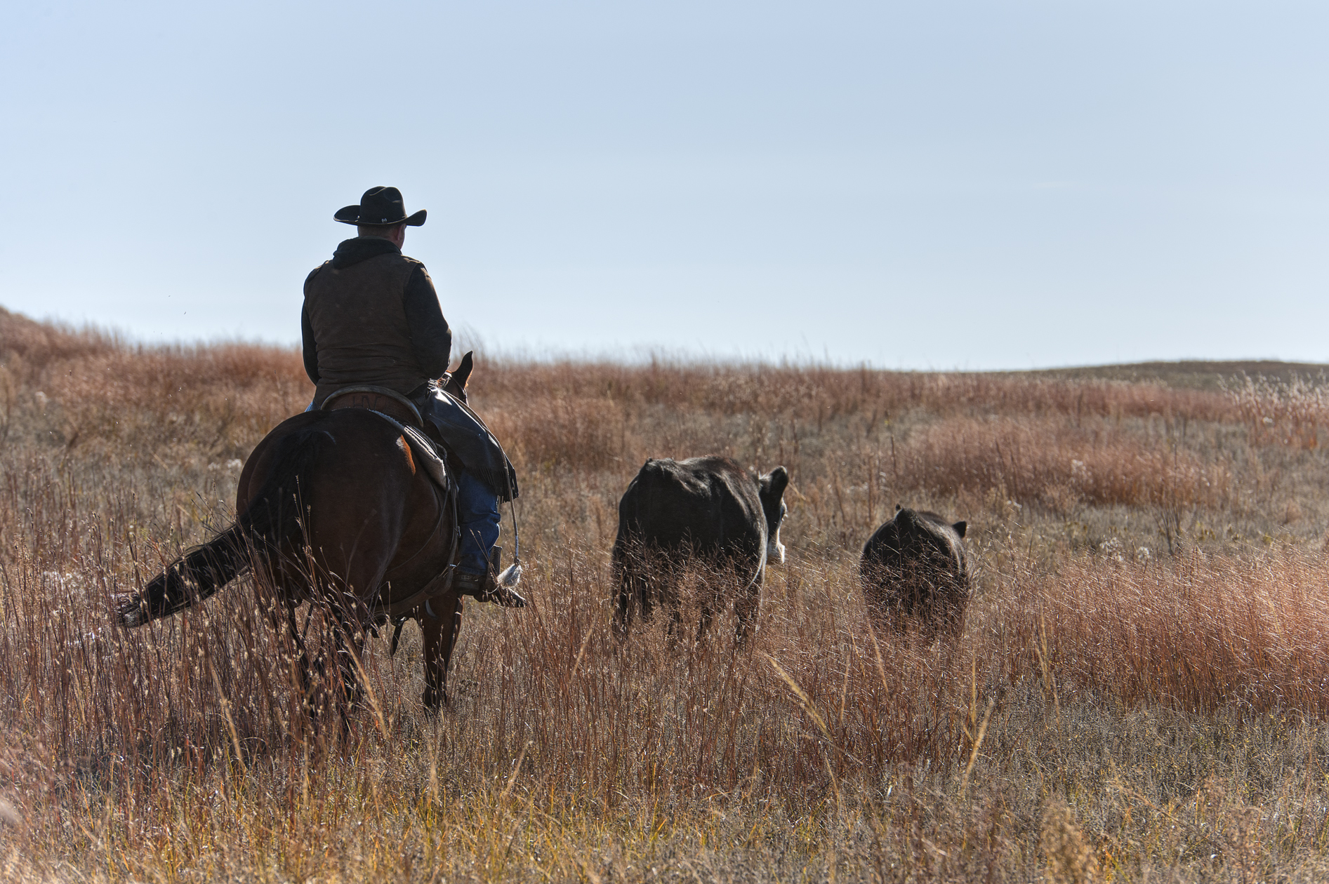 Heading Towards Winter