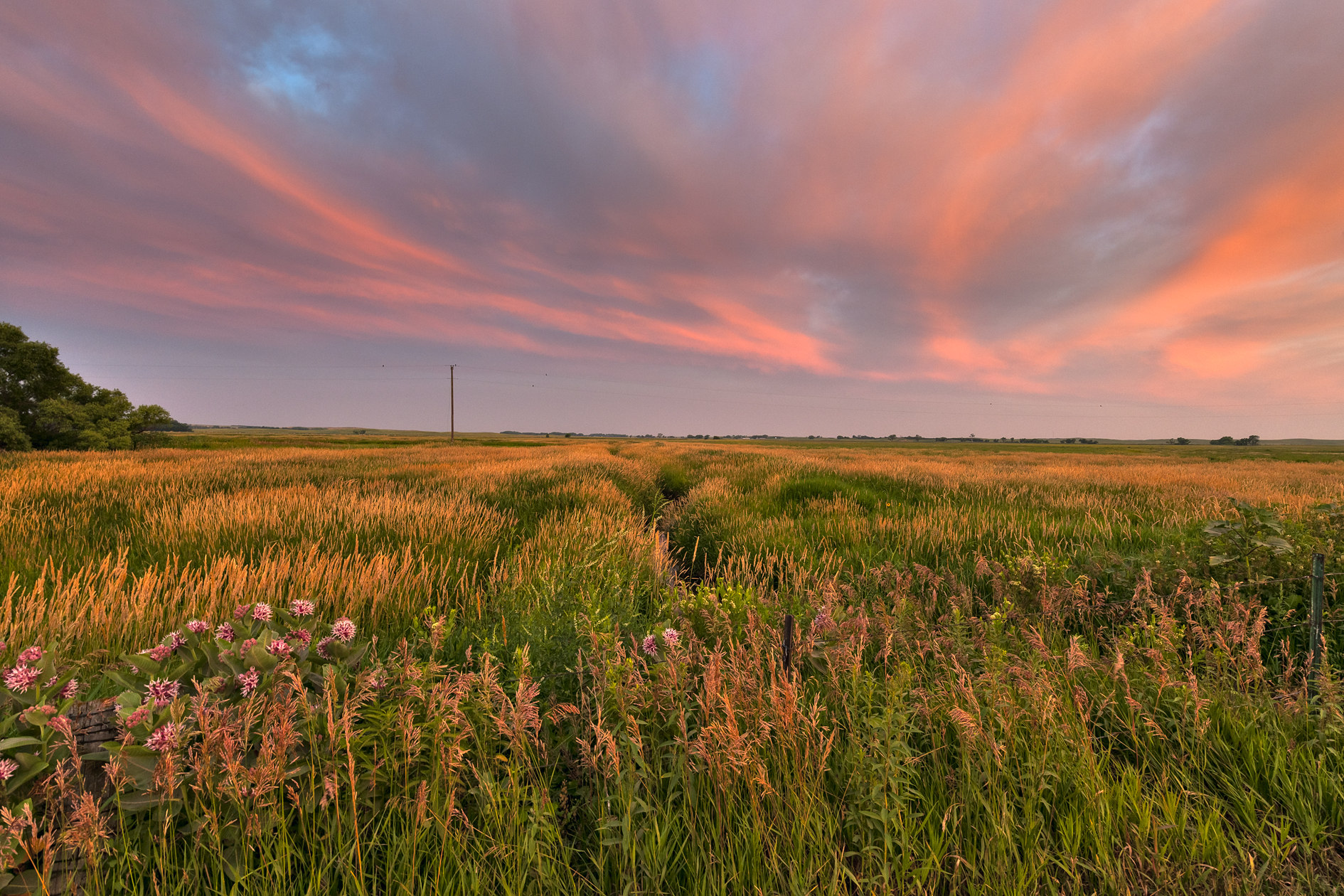 Headwaters Morning II