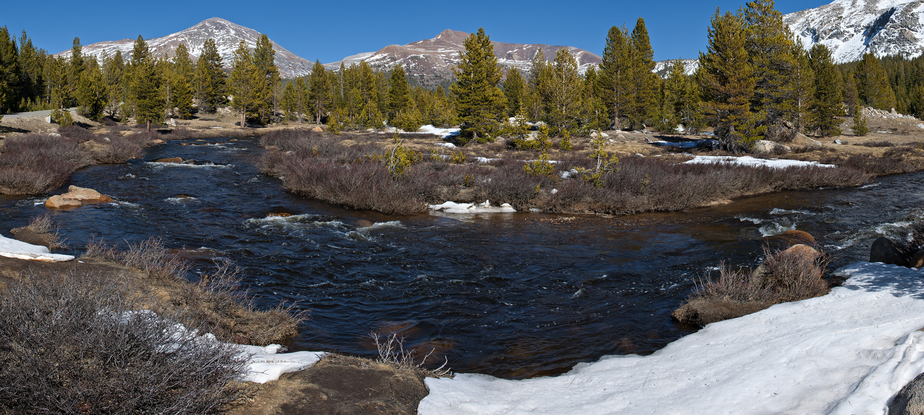 High Sierra Spring