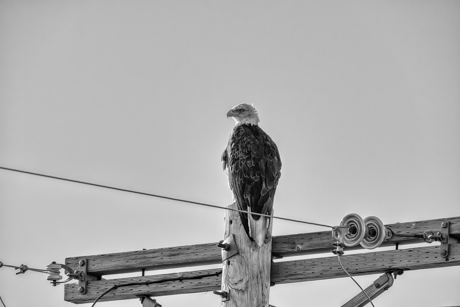 High Voltage Situation