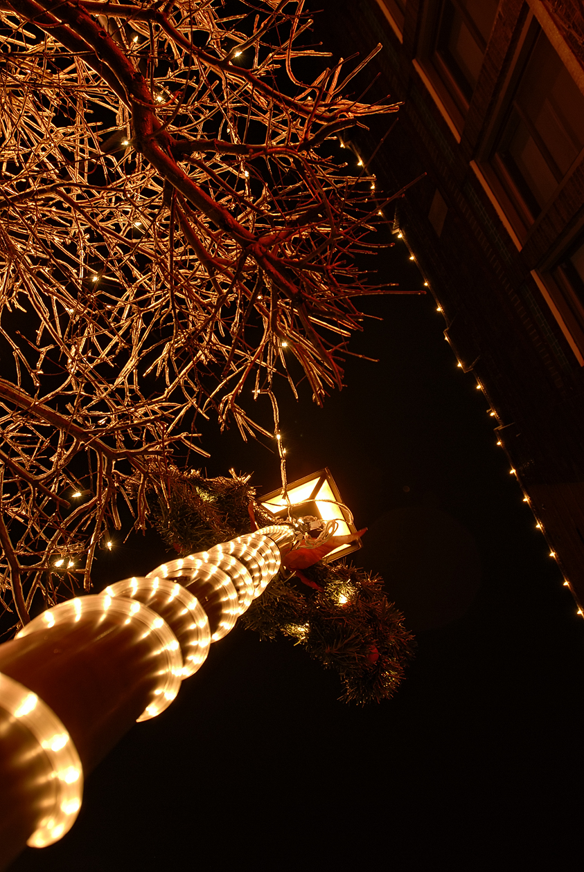 Holiday Fashion Lines