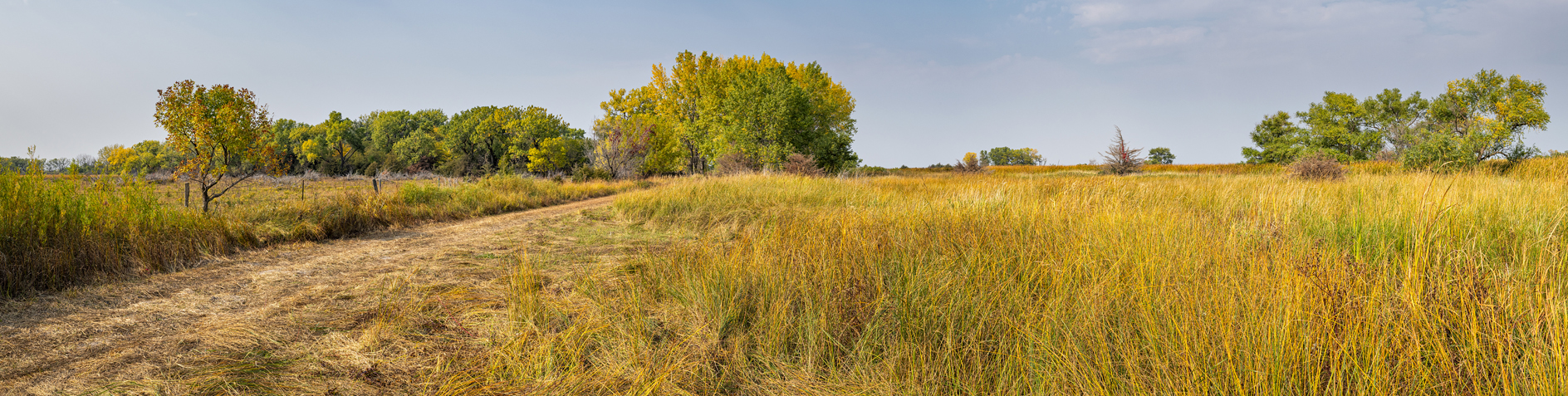 Holt County Afternoon III