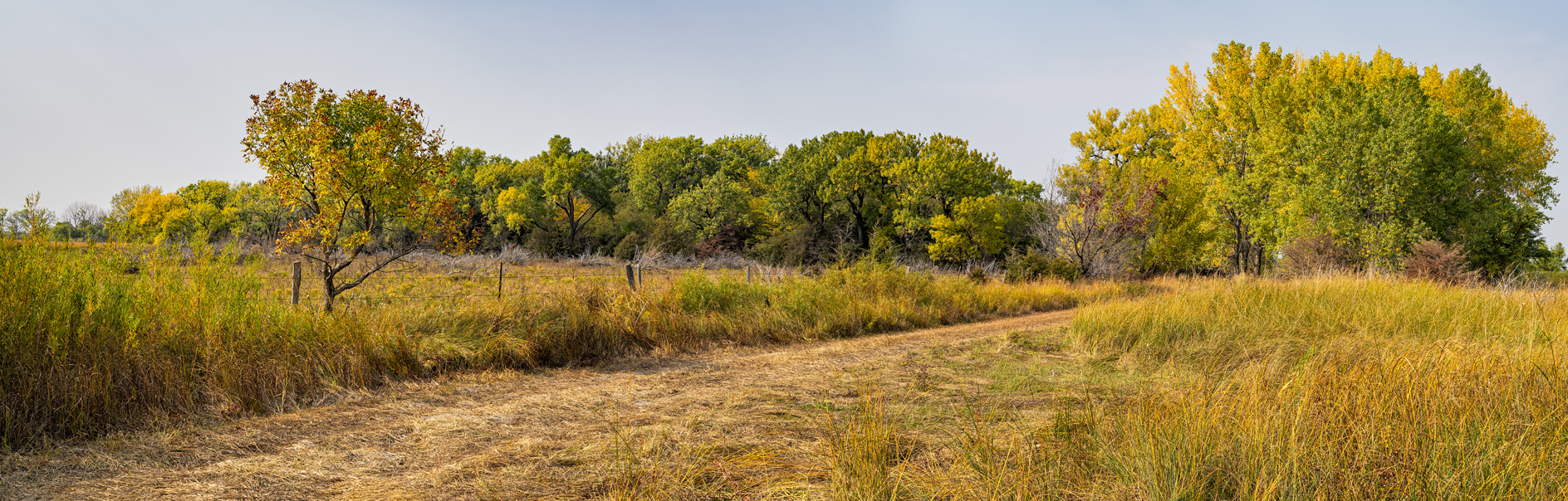 Holt County Afternoon II