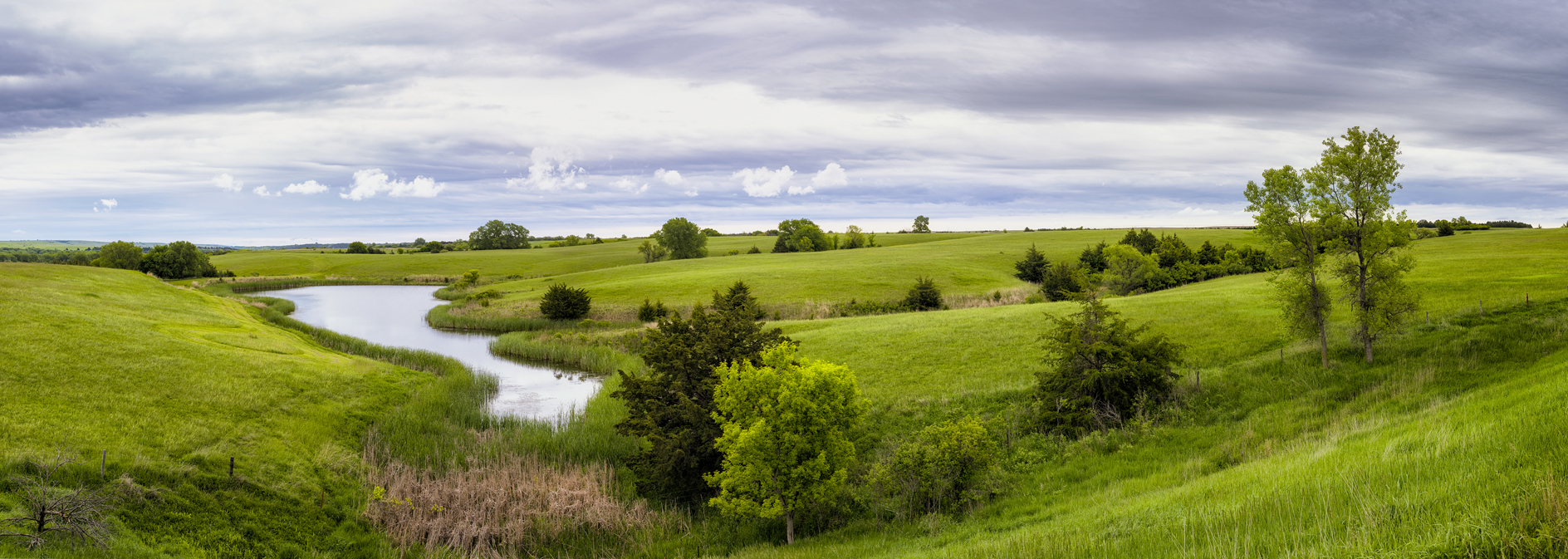 Holt County Spring II