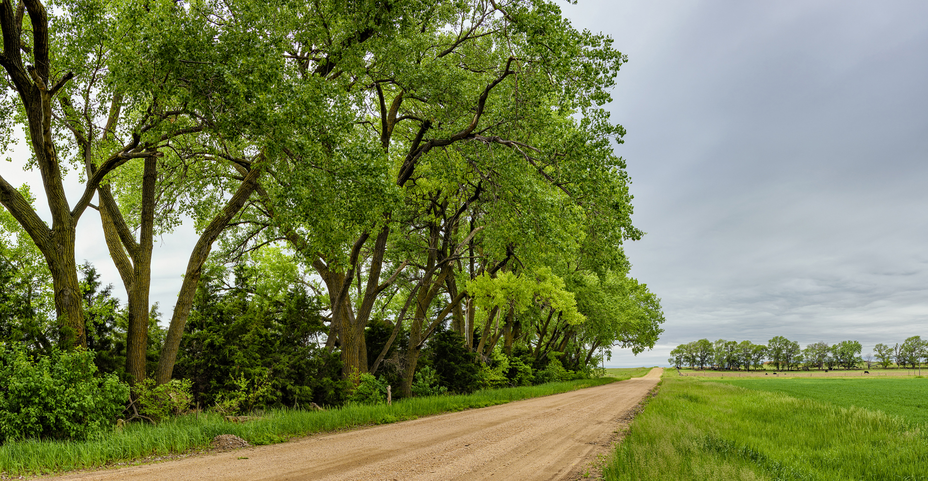 Holt County Spring III
