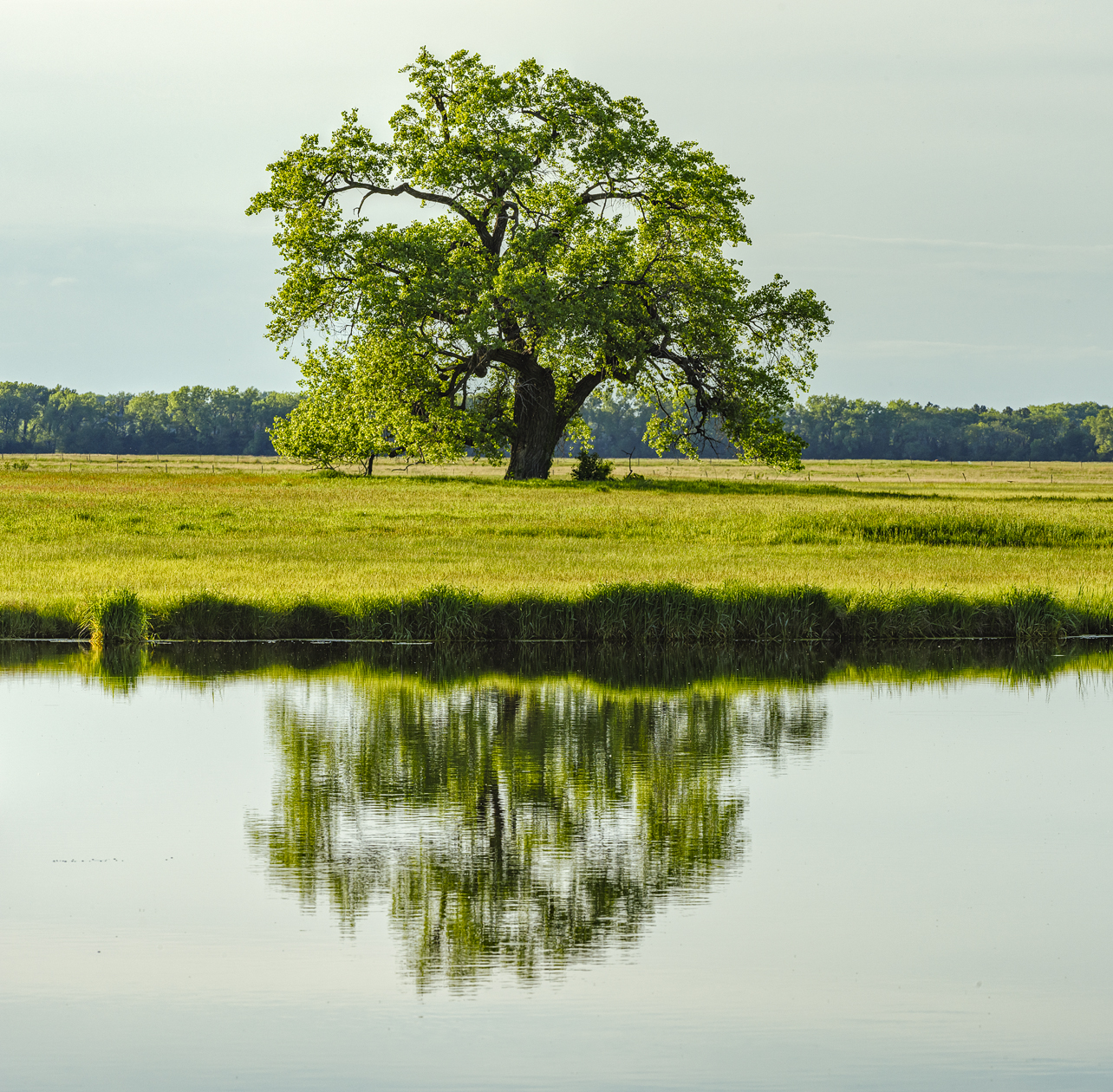 Holt County Spring IV