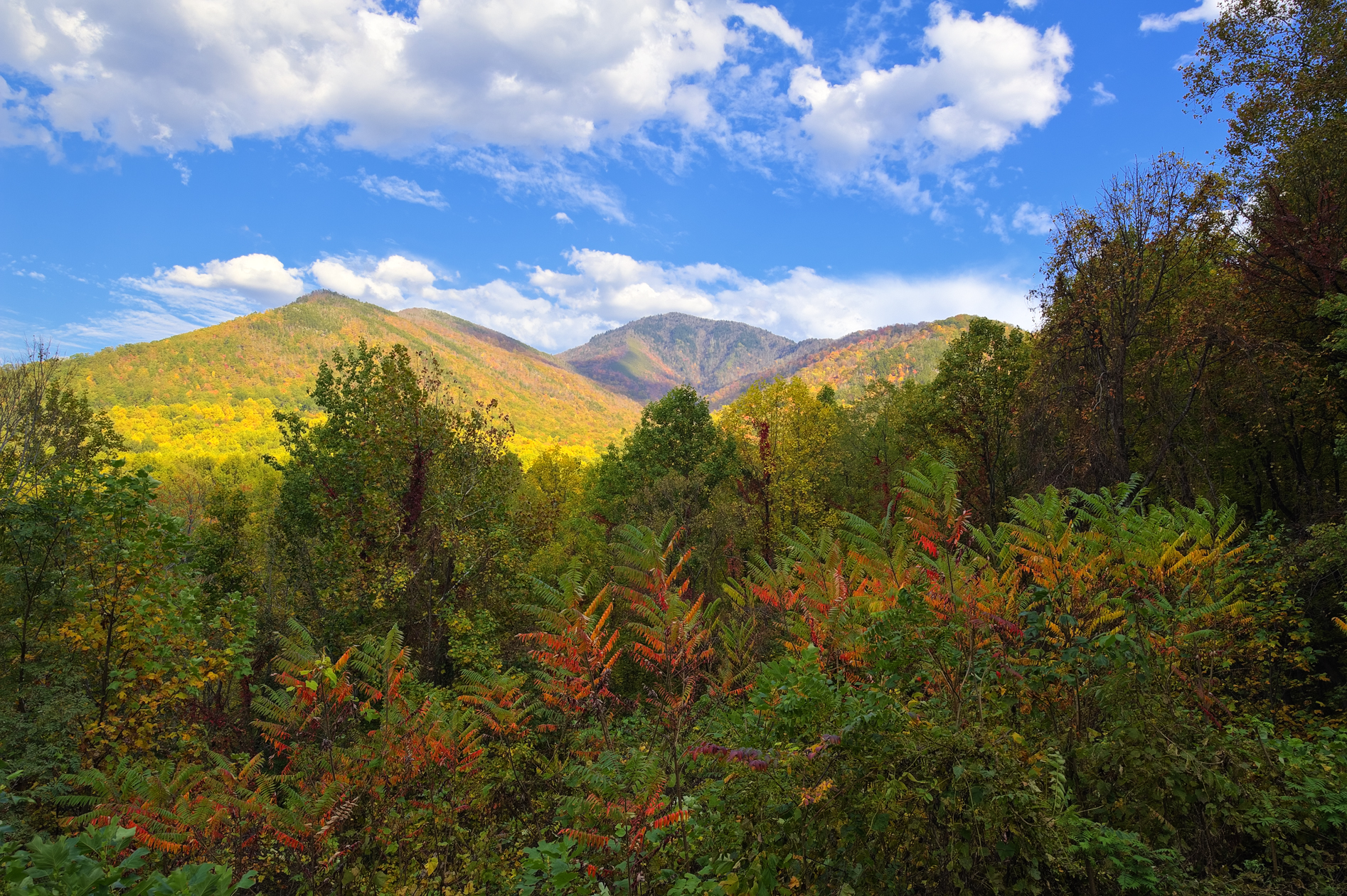 In the Shadow of the Mountain