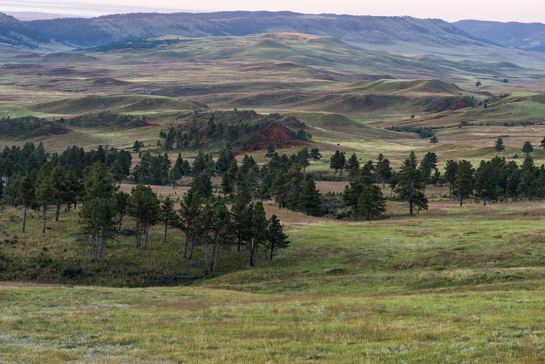 In the Shadow of the Ridge