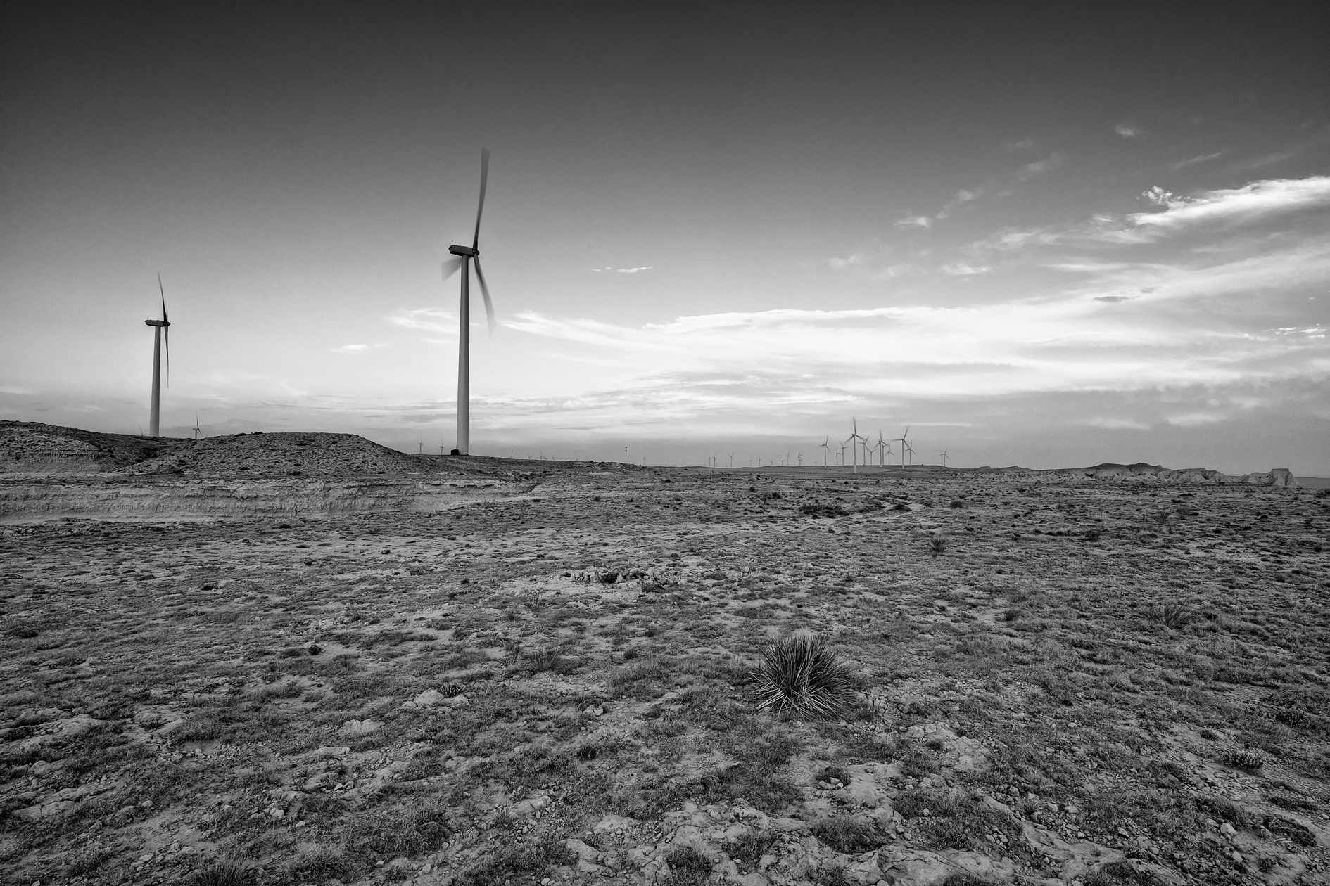 Invasion of the Wind Snatchers