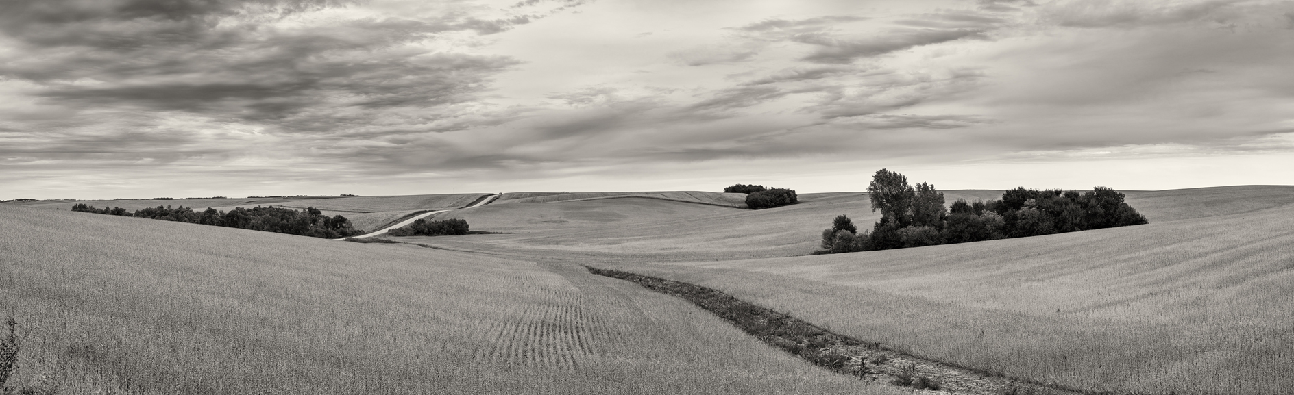 Islands in the Beans