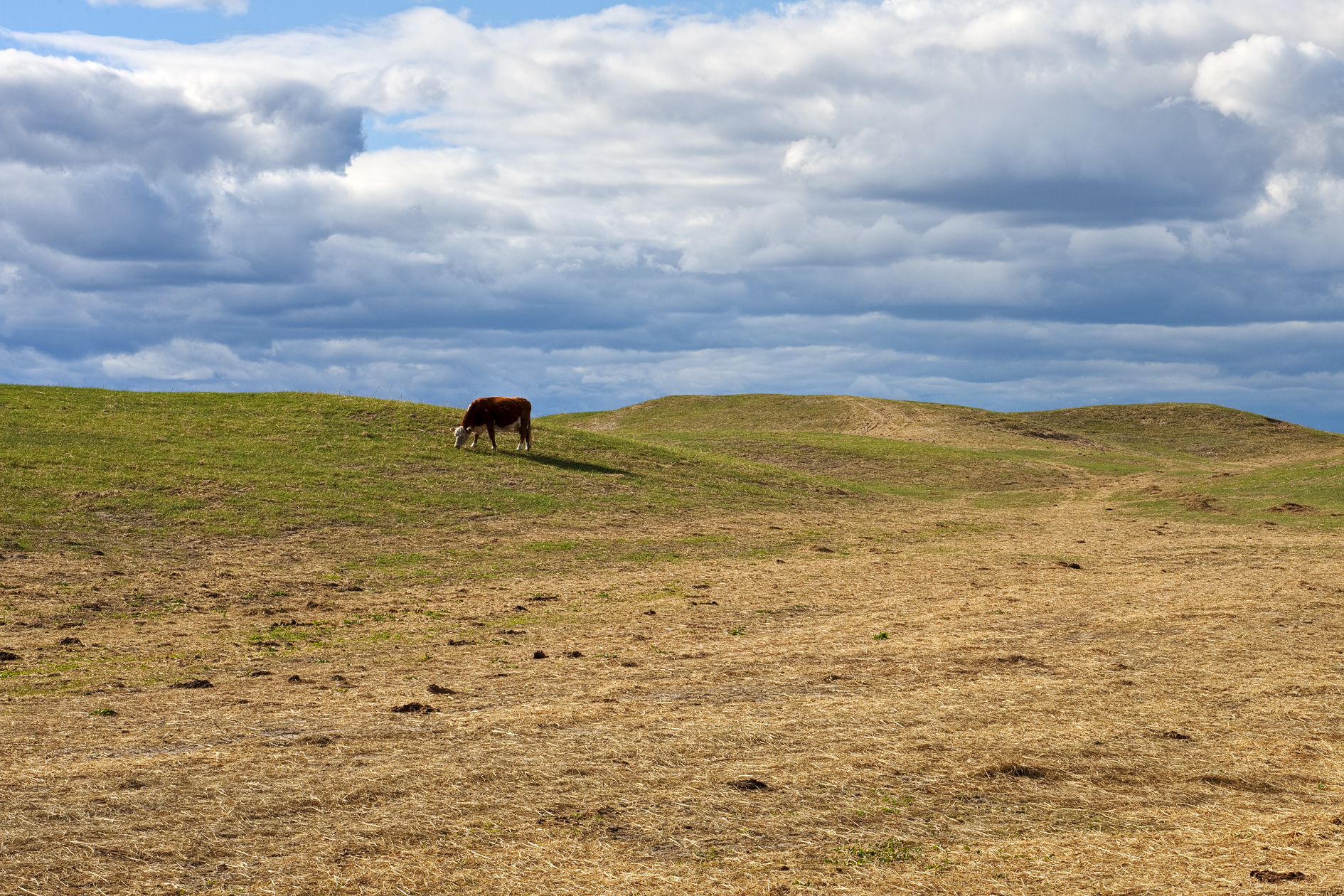 Its Better at the Top