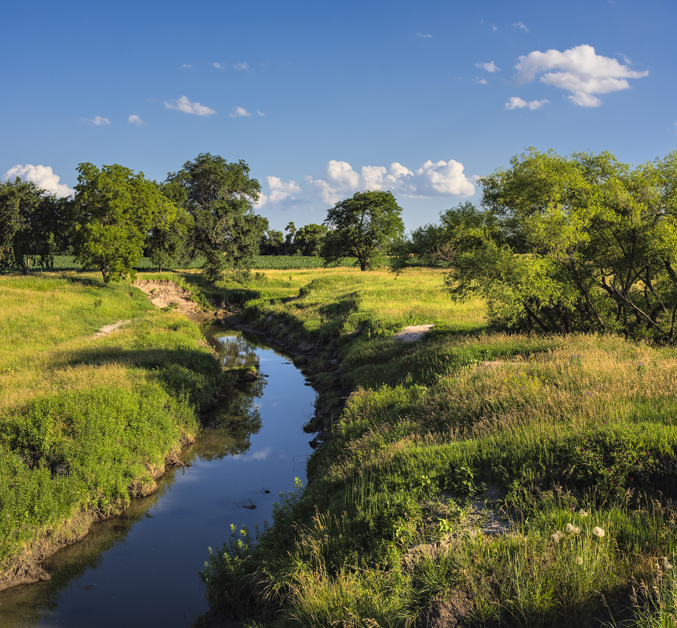 Jefferson County Afternoon