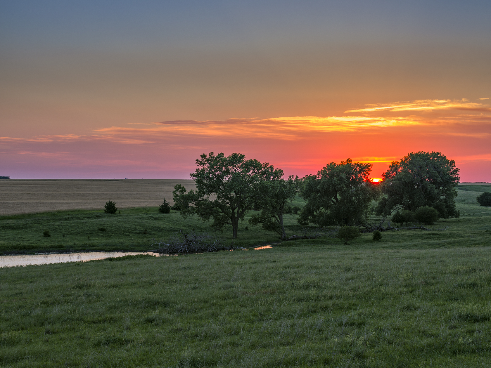 Jewell County Evening II