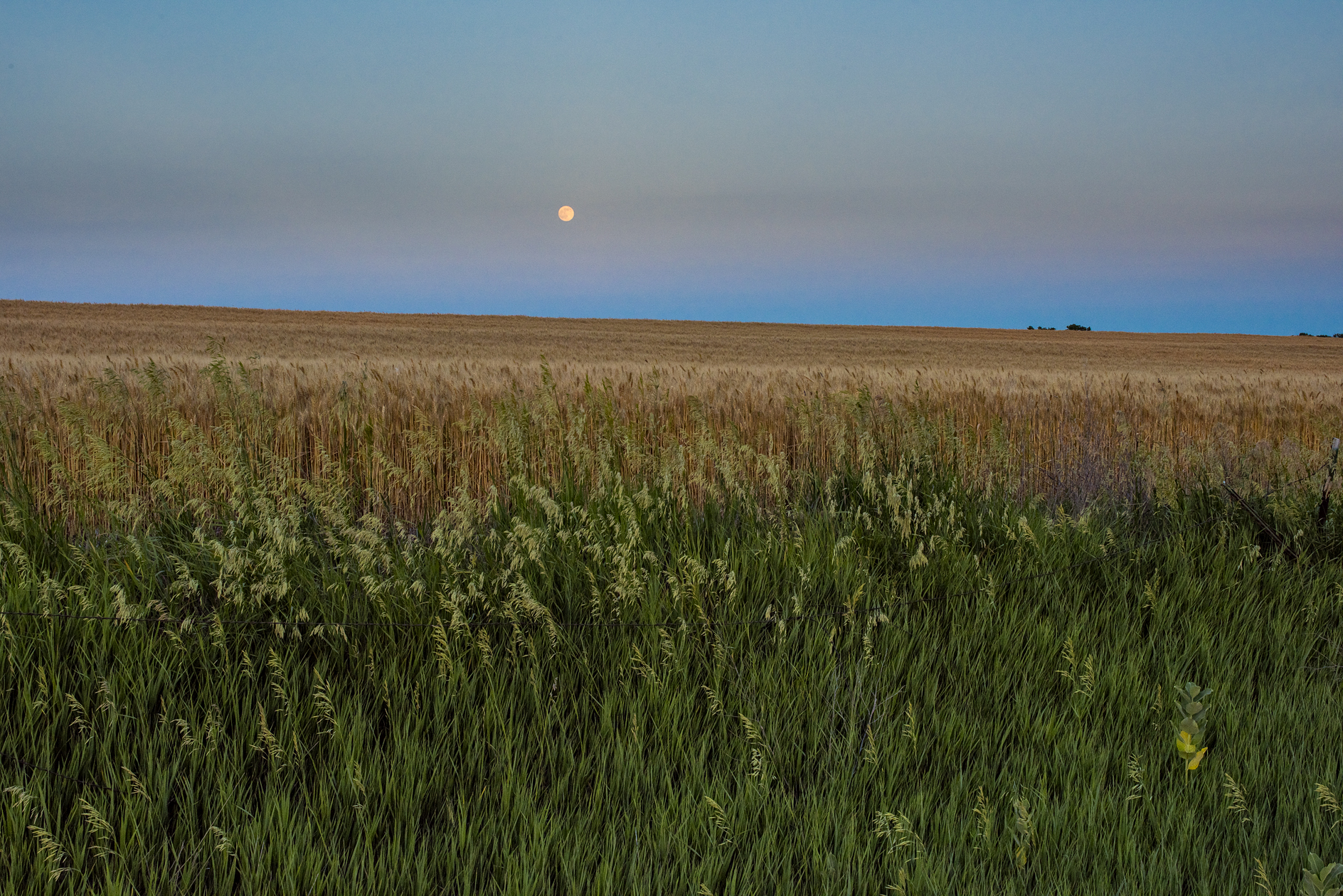 Jewell County Moonrise