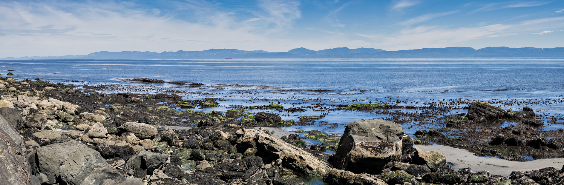 Juan De Fuca Afternoon