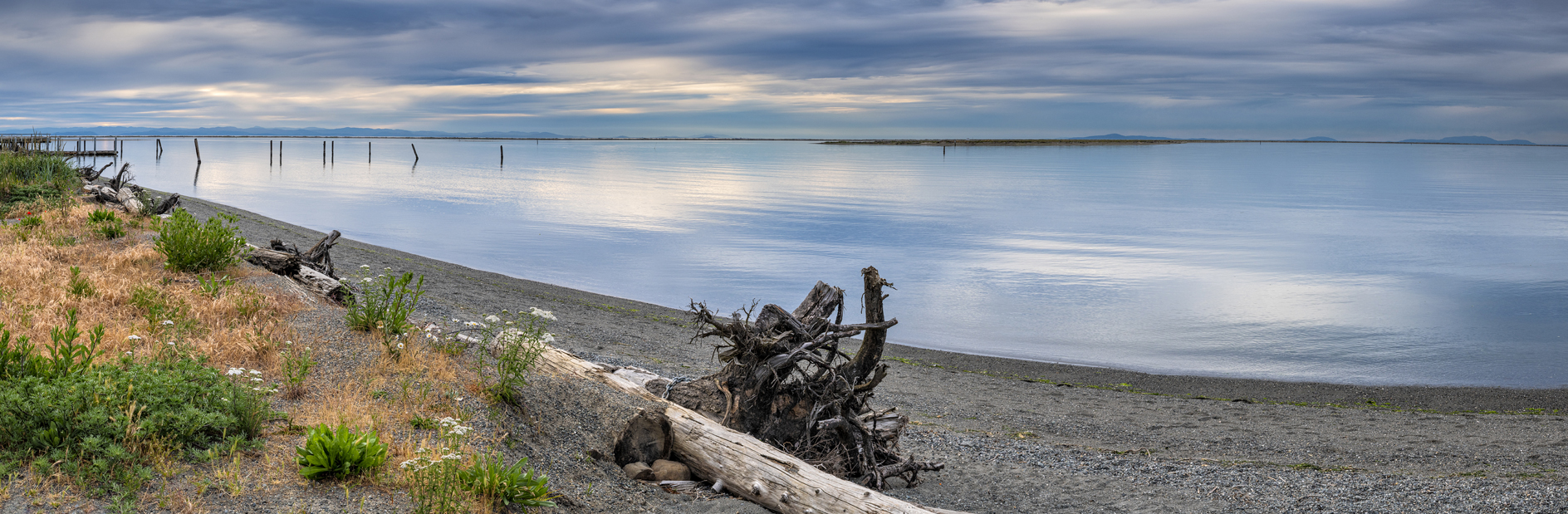 Juan De Fuca Evening II