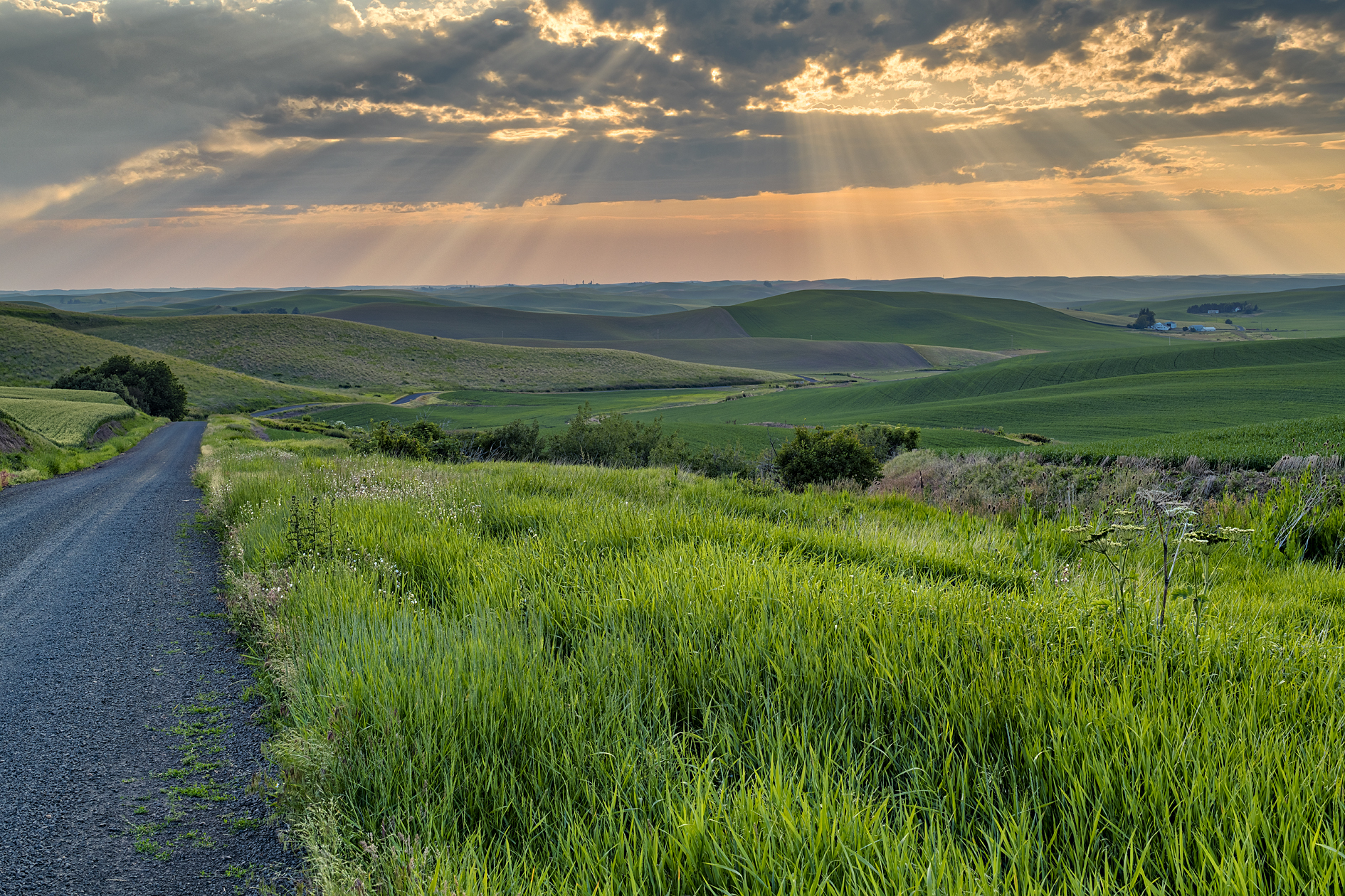 Kamiak Butte Evening II