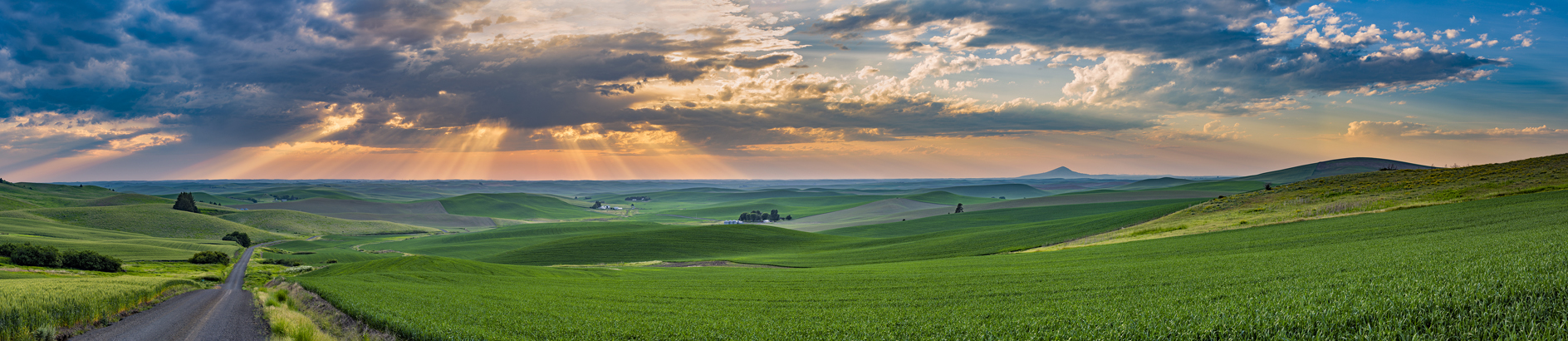 Kamiak Butte Evening III