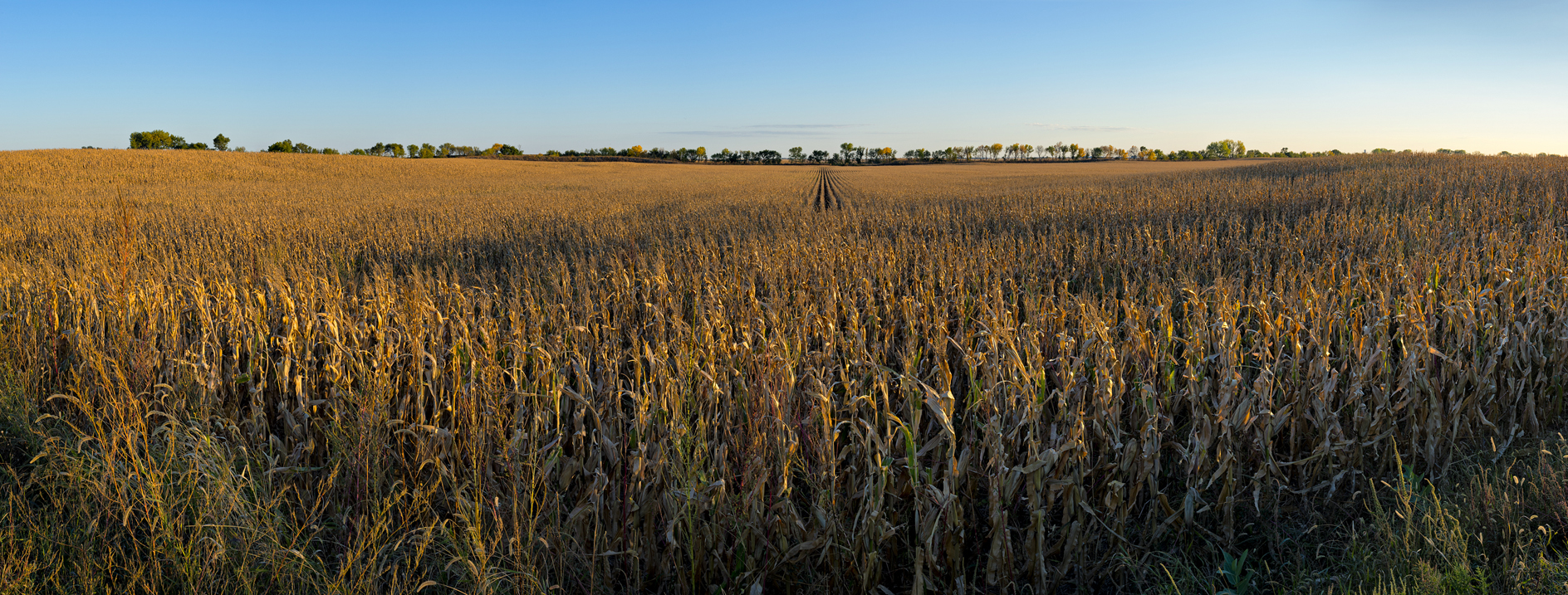 Kearney County Evening