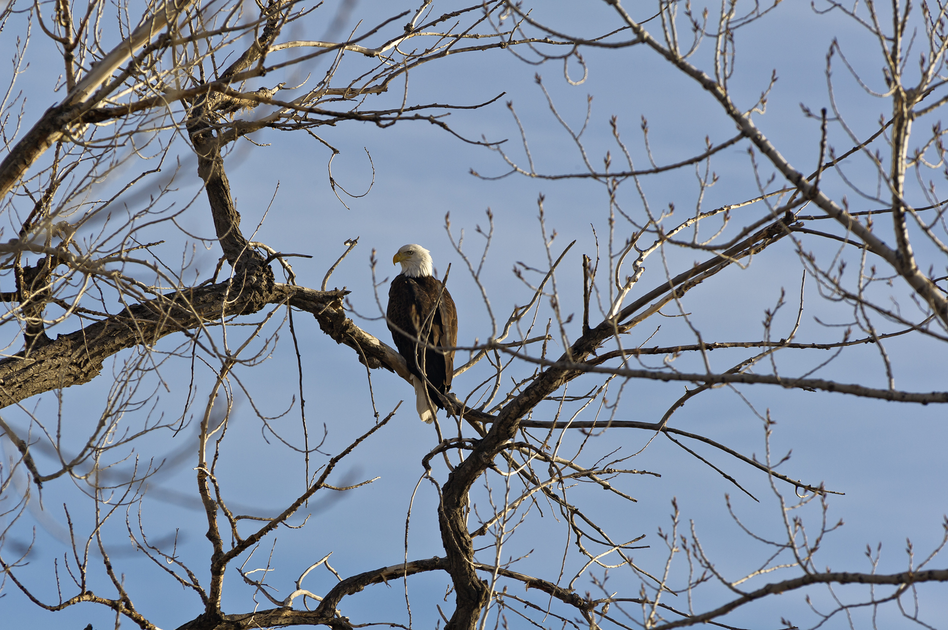 Keep a Sharp Eye Out