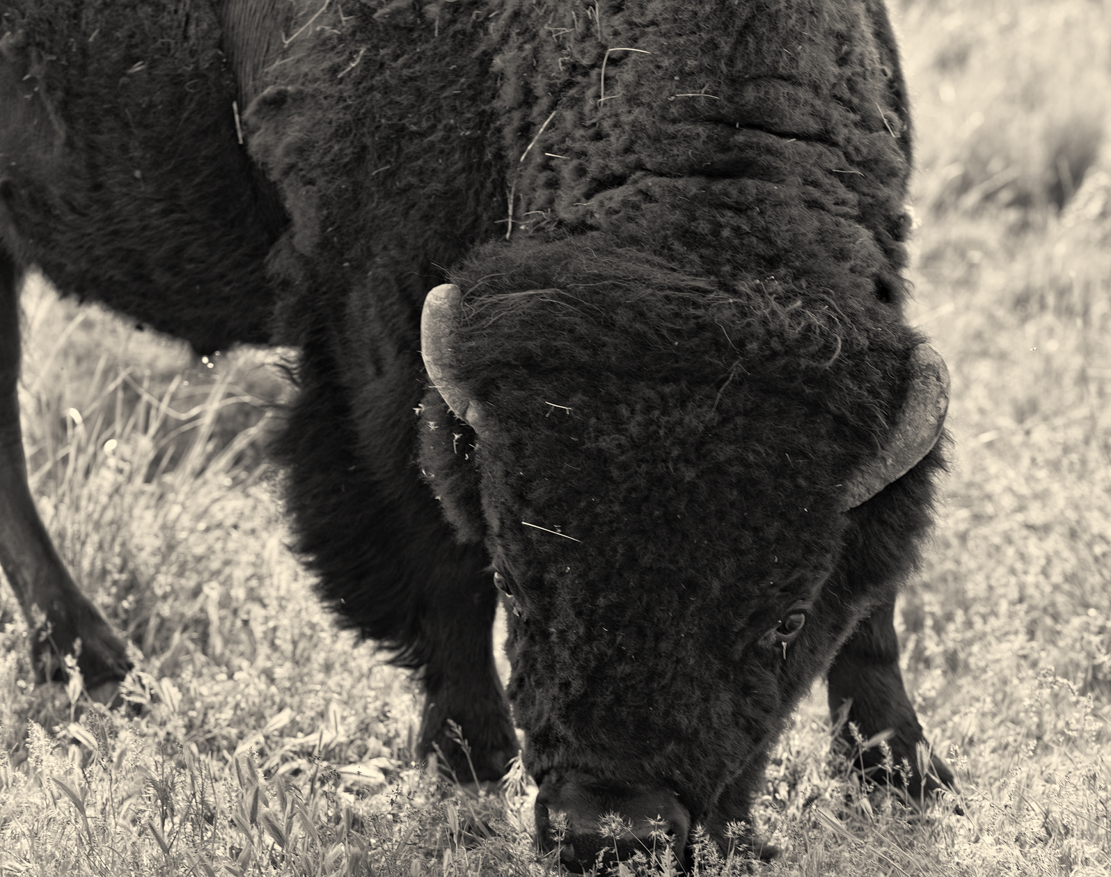 Keeping an Eye on You