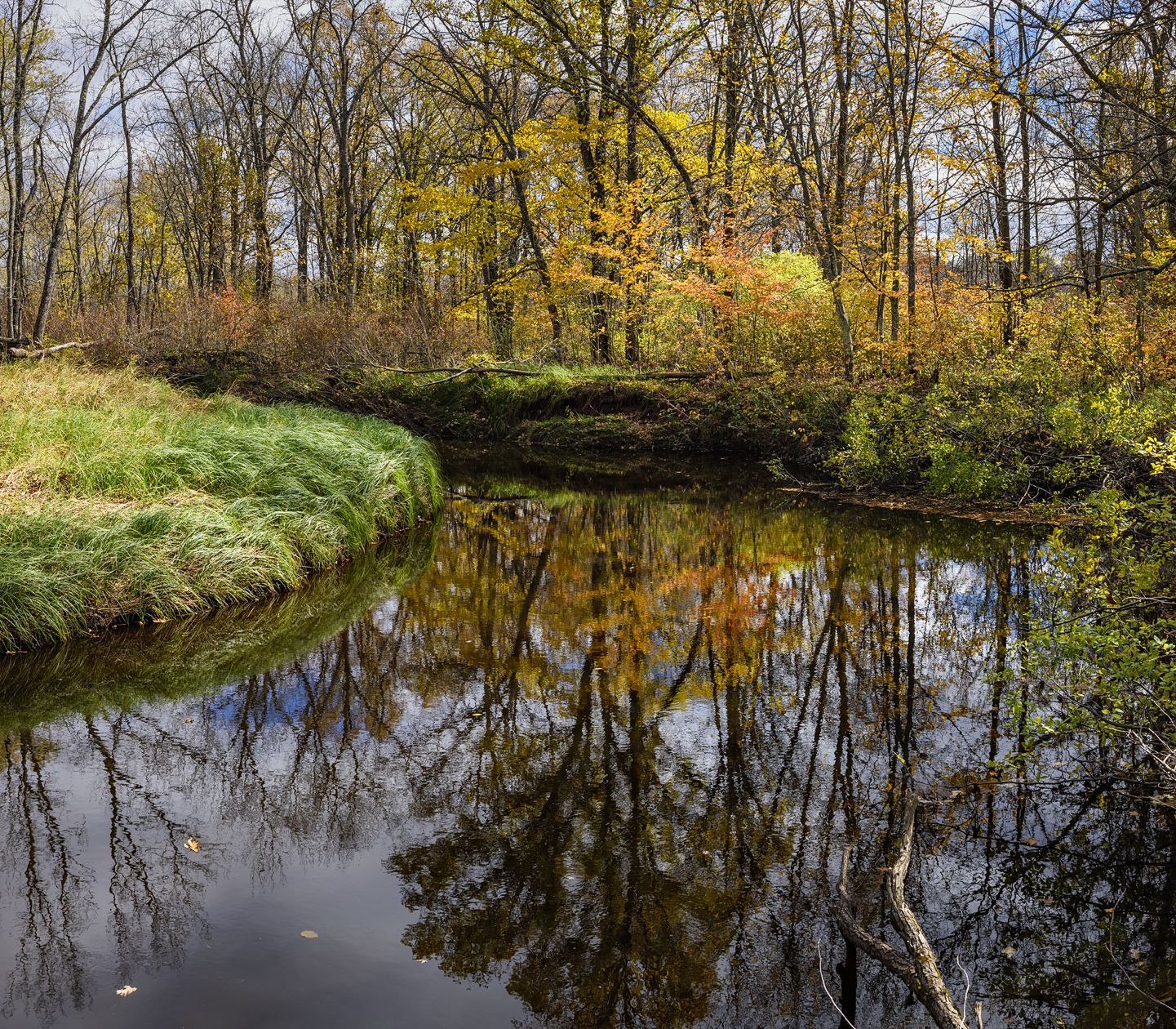 Kettle River Morning III
