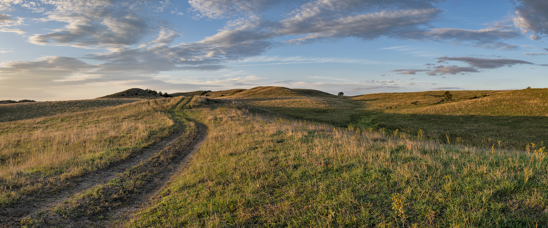 Knox County Evening III