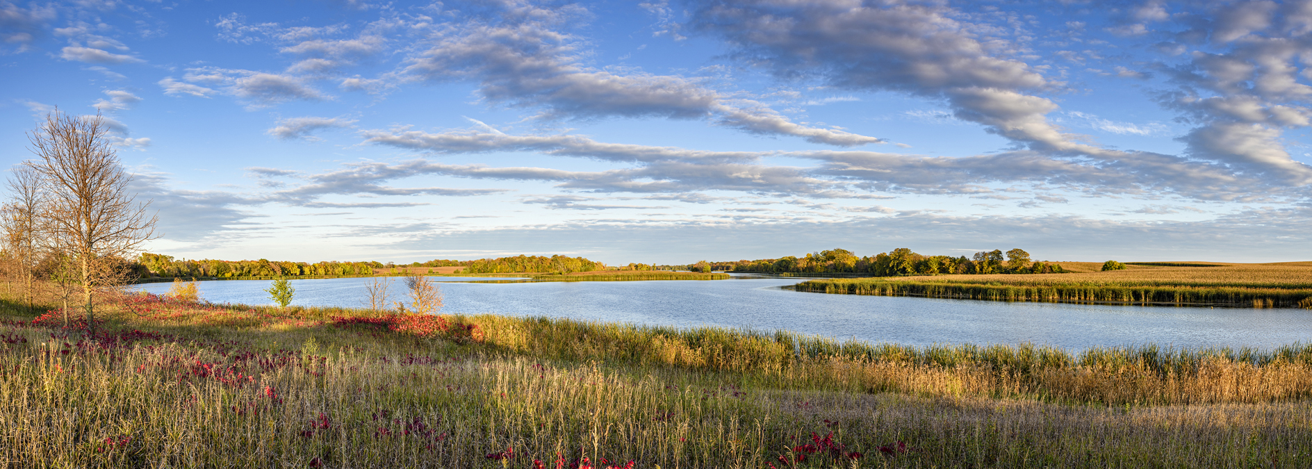 Lake Country Evening