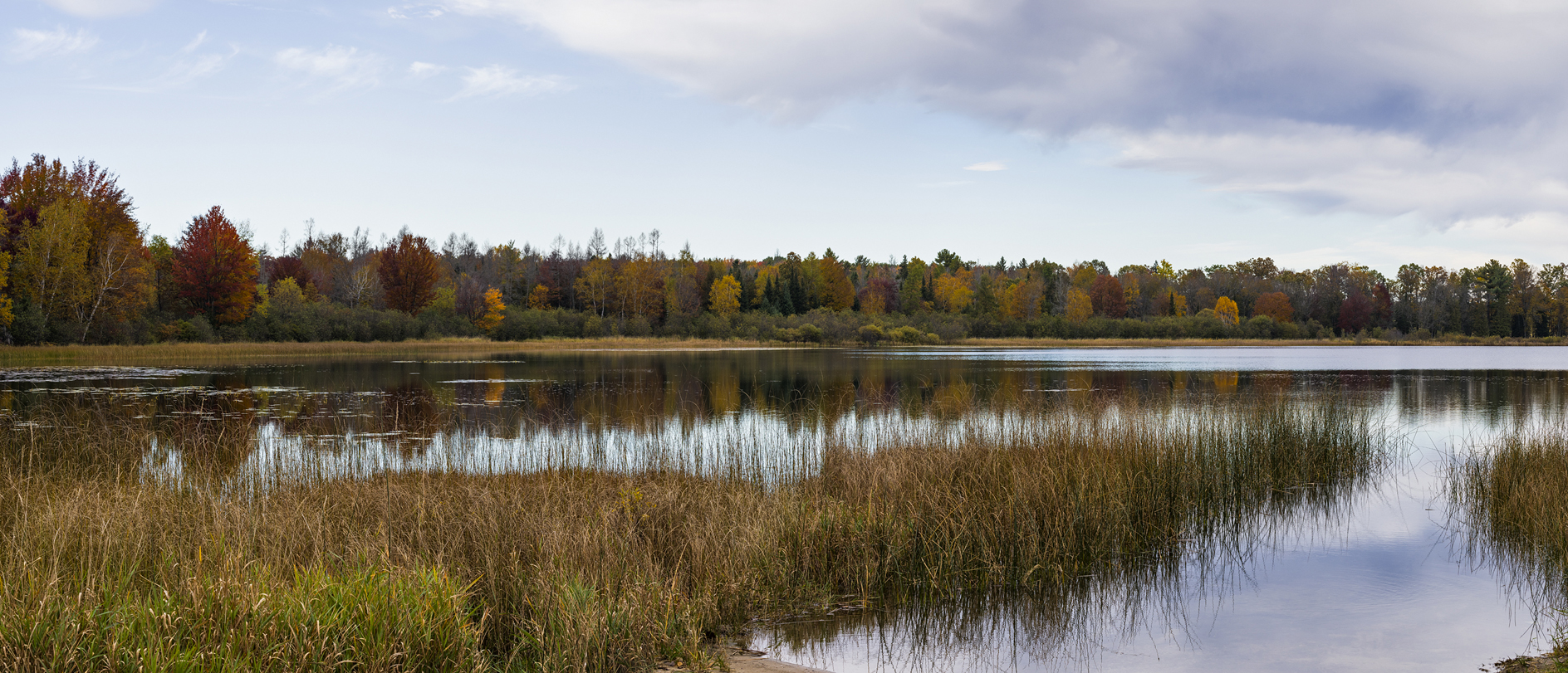 Lake Mary Morning II