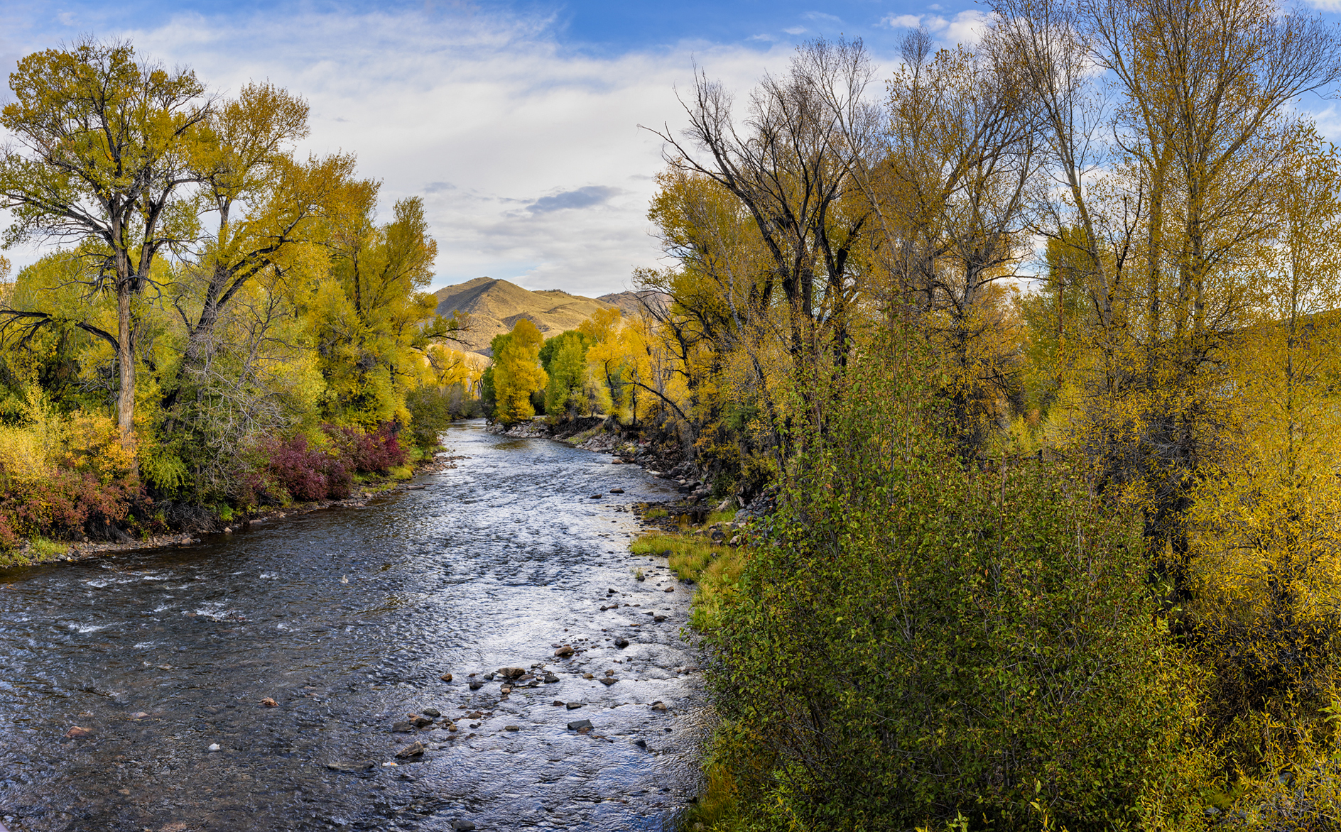 Laramie River Morning