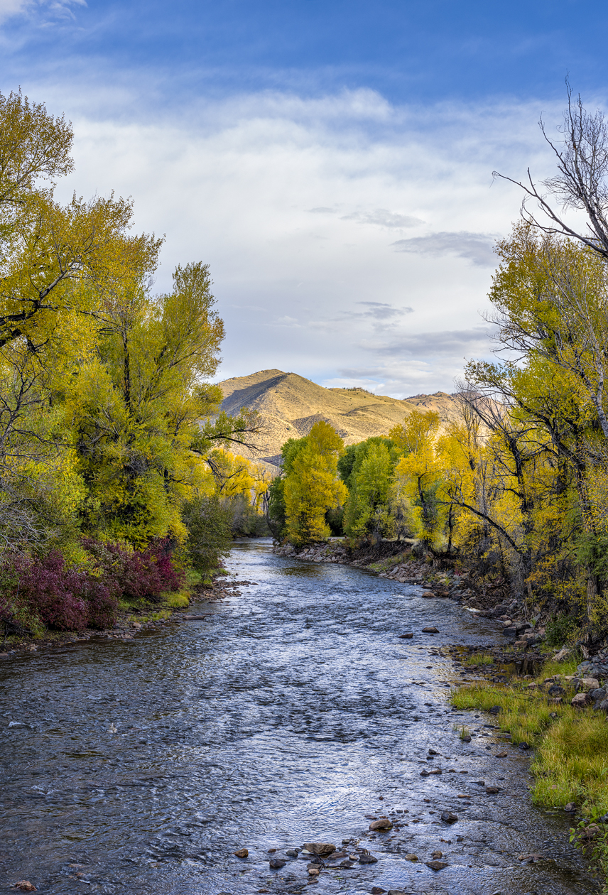 Laramie River Morning II