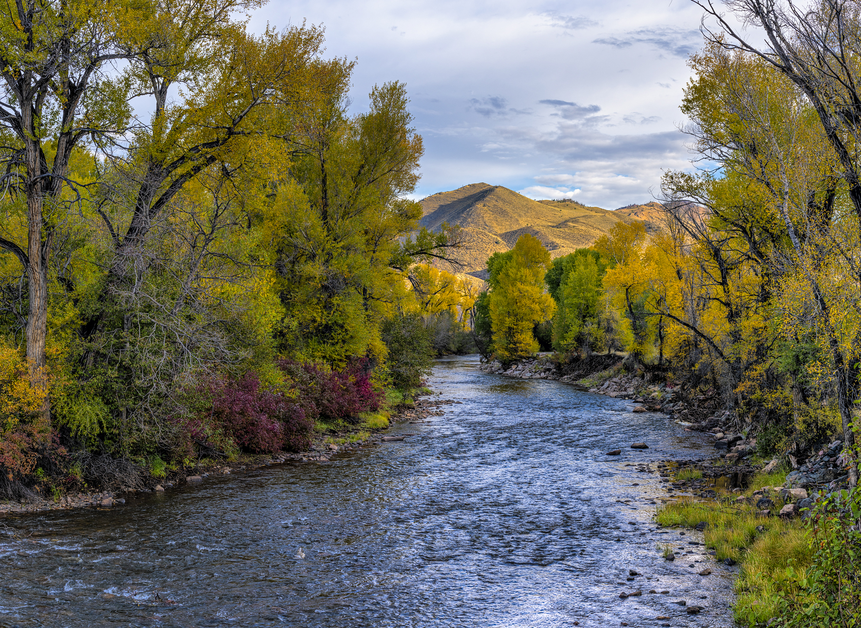 Laramie River Morning III