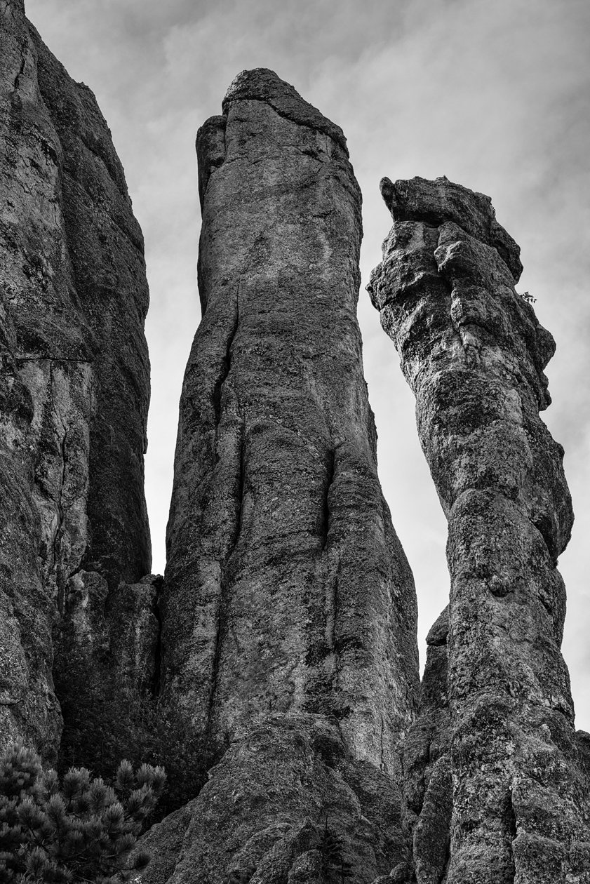 Larry Moe and Curly Joe