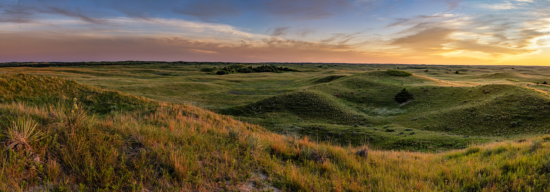 Last Light on the Pasture