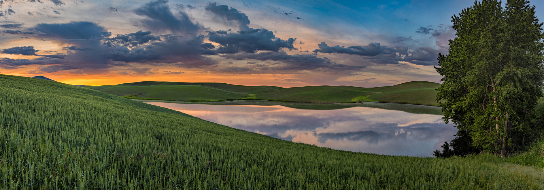 Latah County Morning