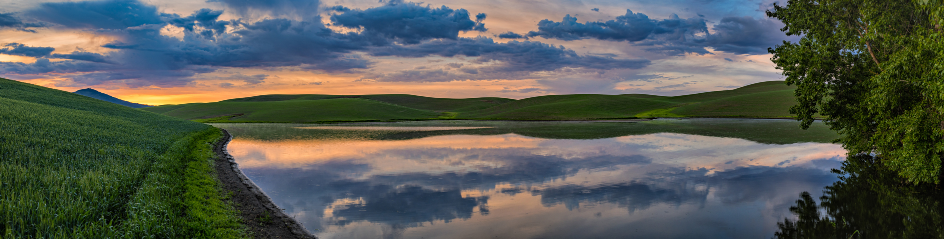 Latah County Morning II
