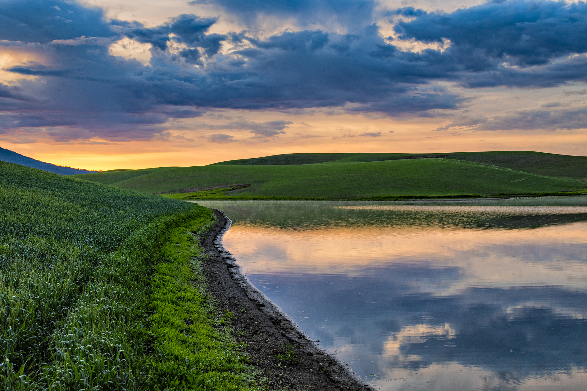 Latah County Morning III