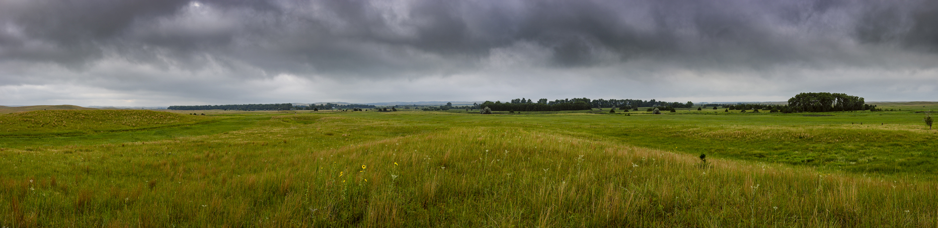 Late July Showers II