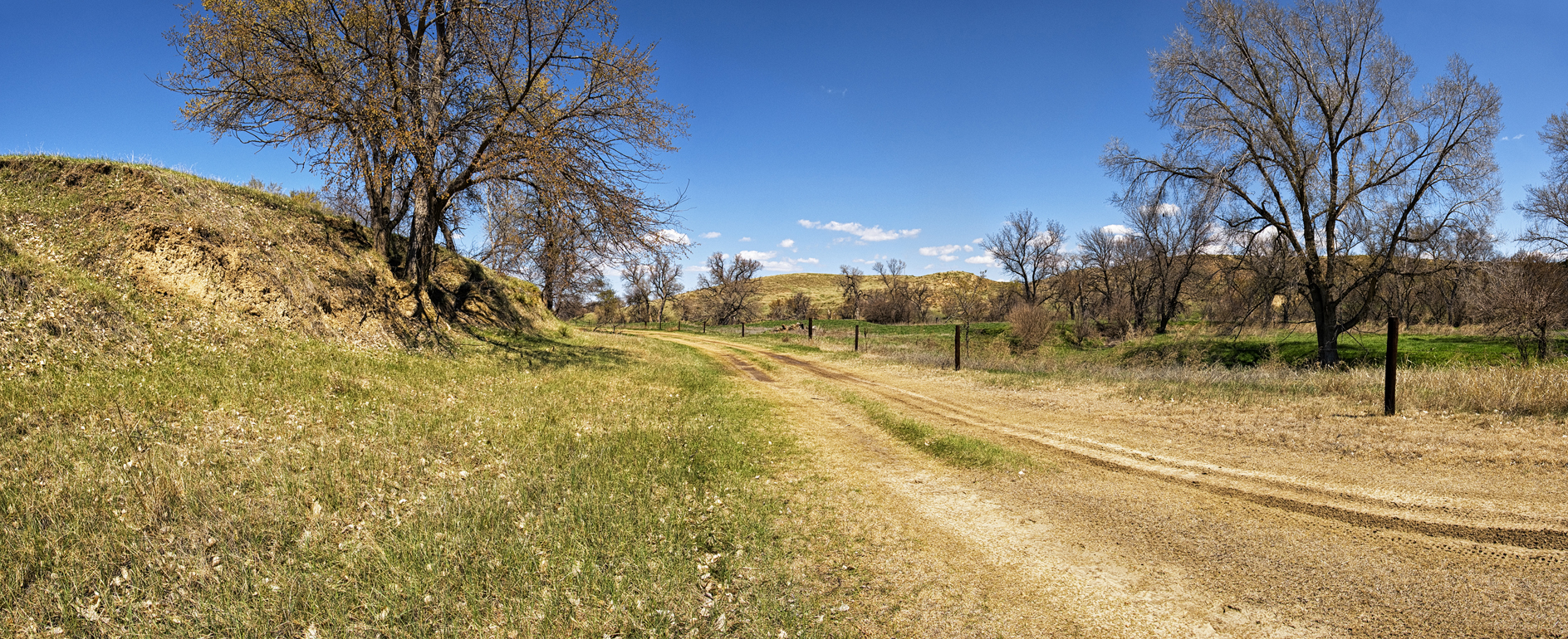 Late Morning Pasture