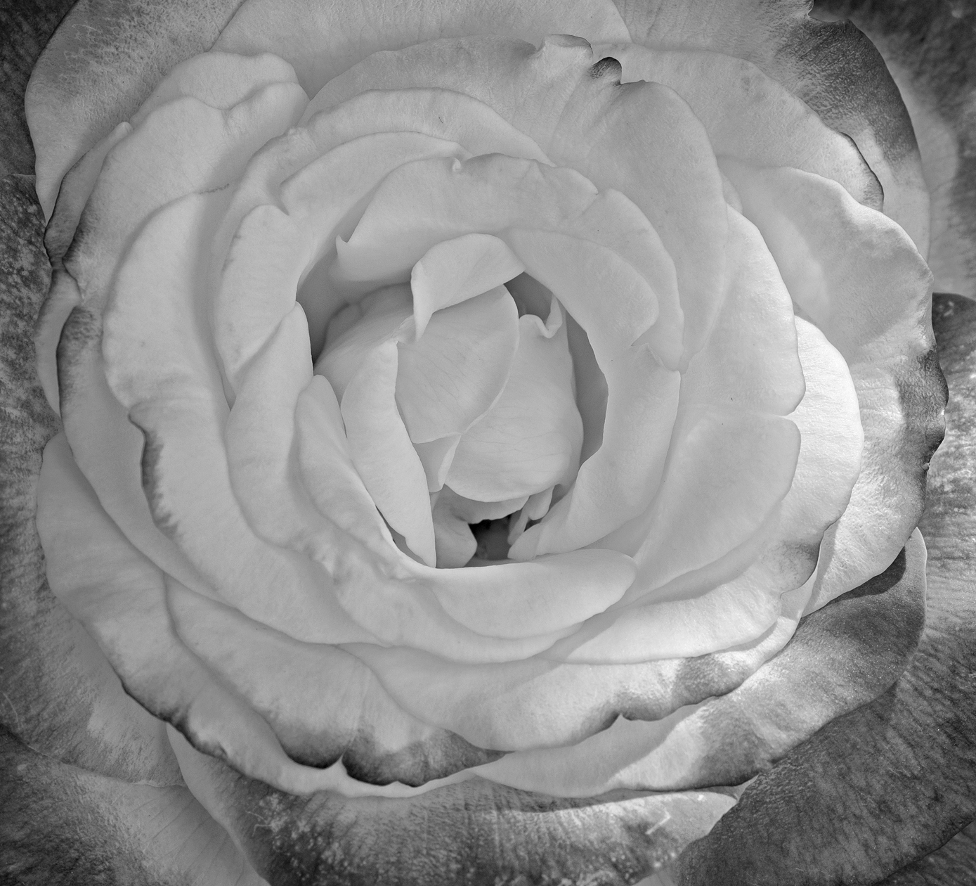 Layers of Enchantment II