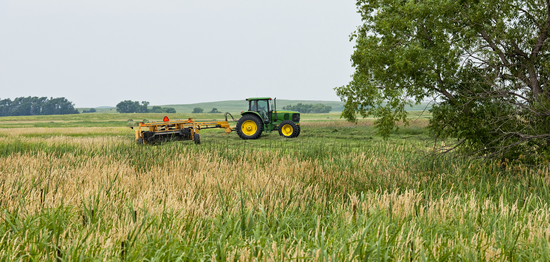 Lean Green Mowing Machine