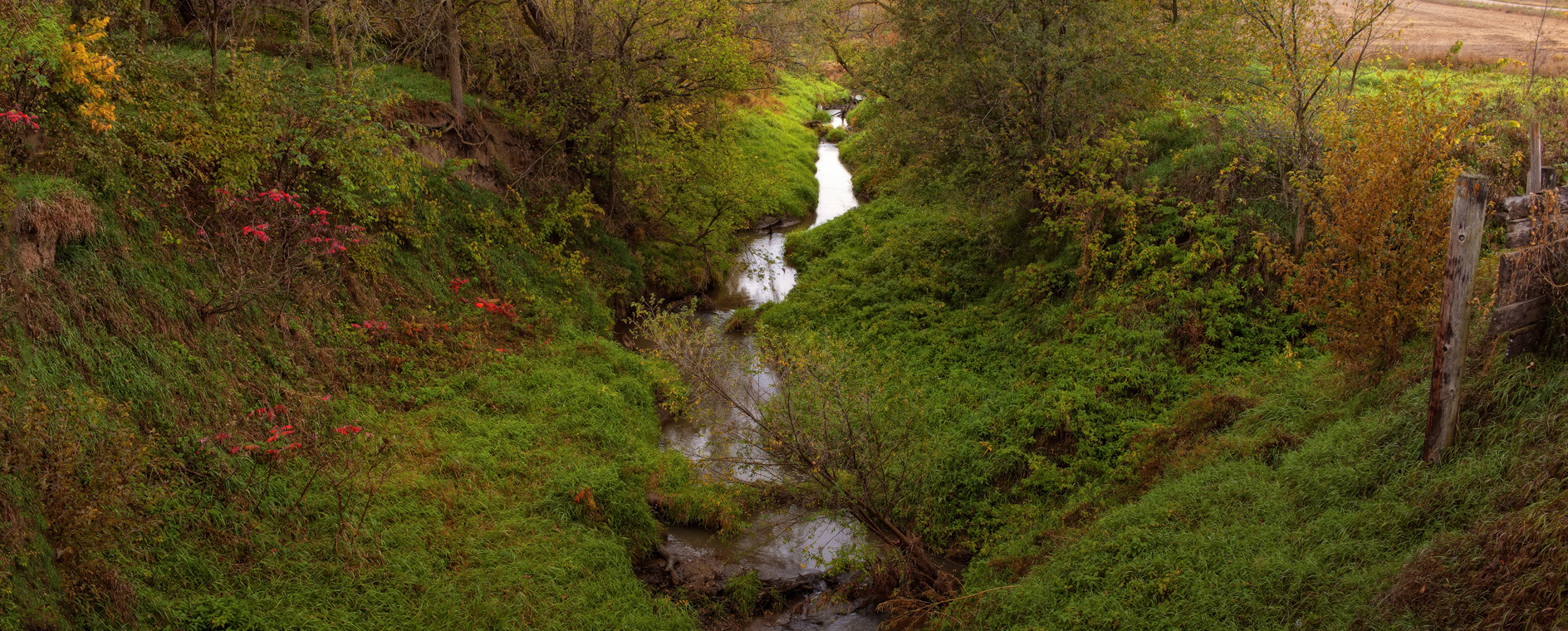 Leaning towards Fall