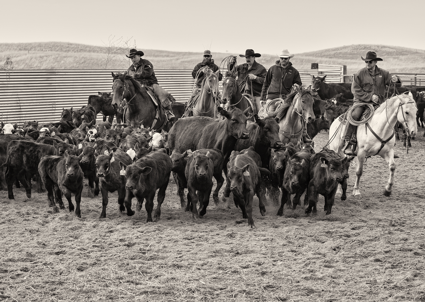 Learning the Ropes III