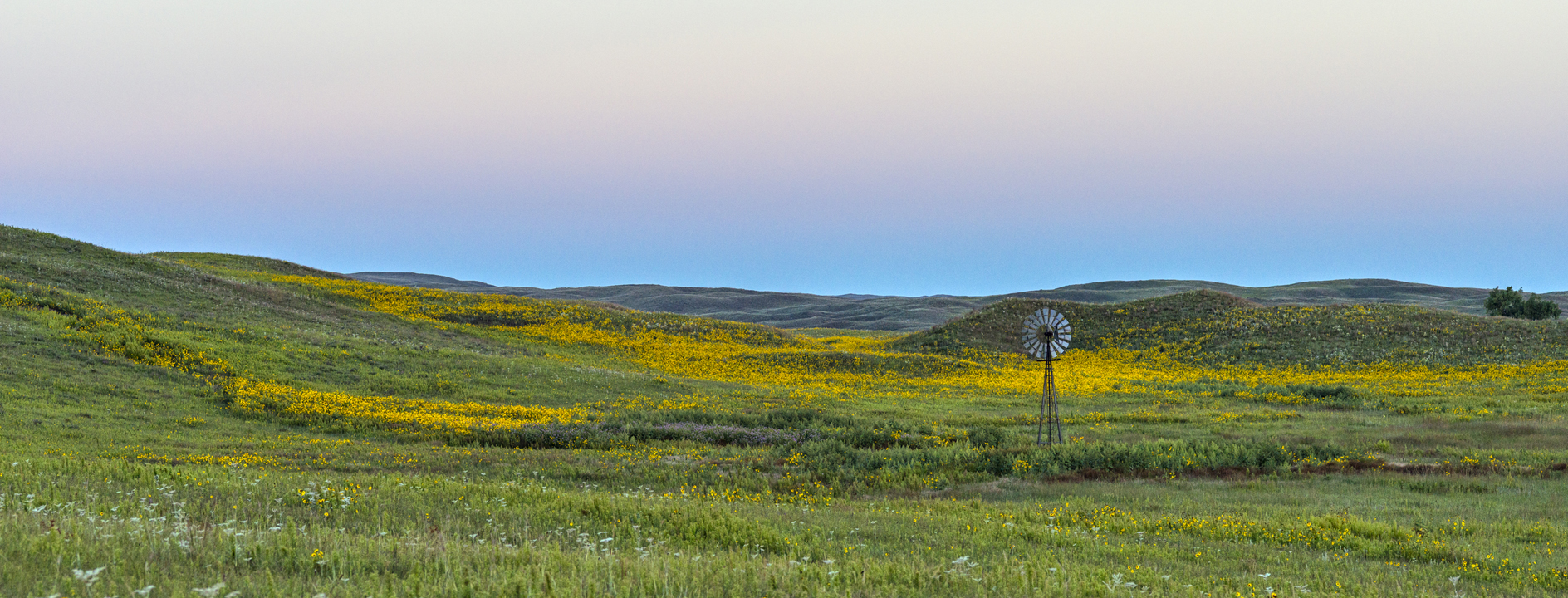 Left to My Own Devices