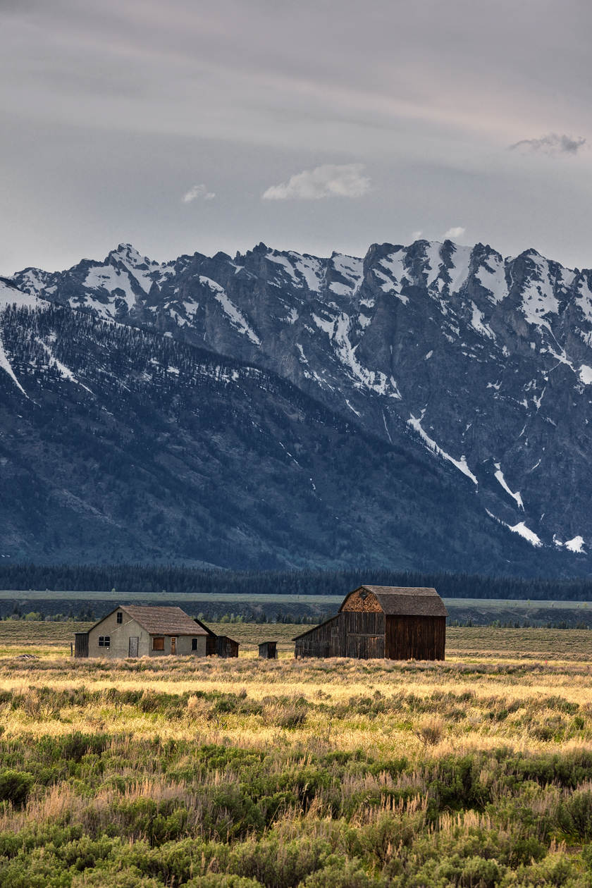 Legacy of the Olden Days