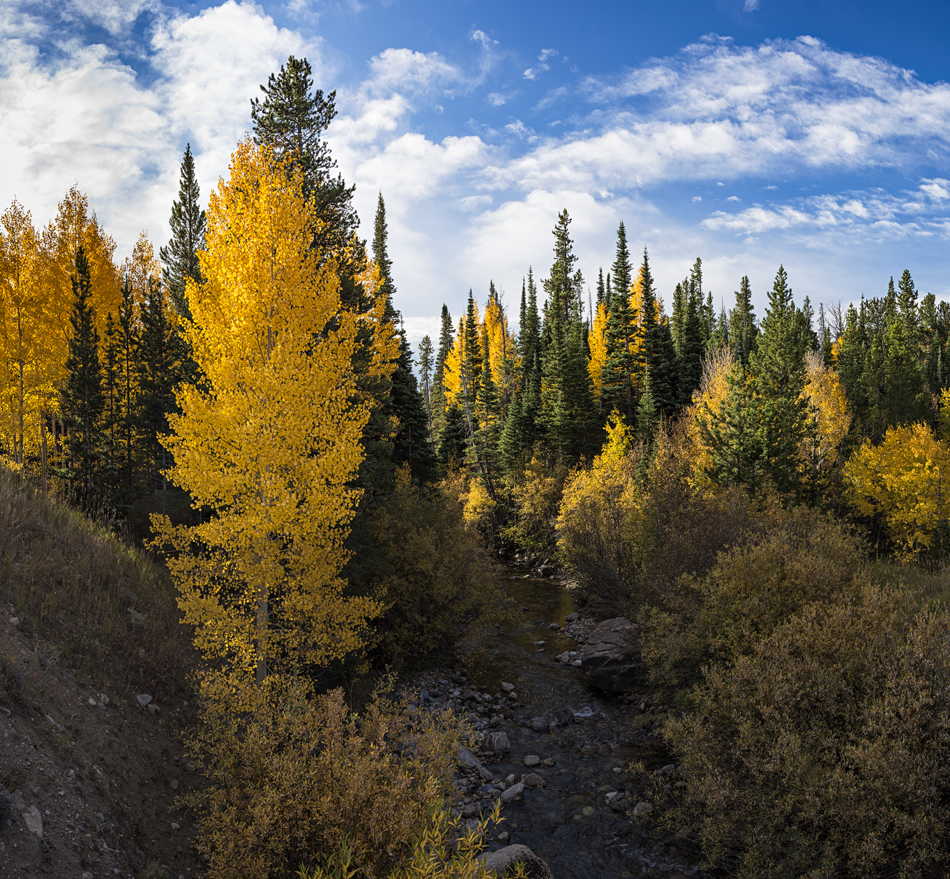 Libby Creek Morning II