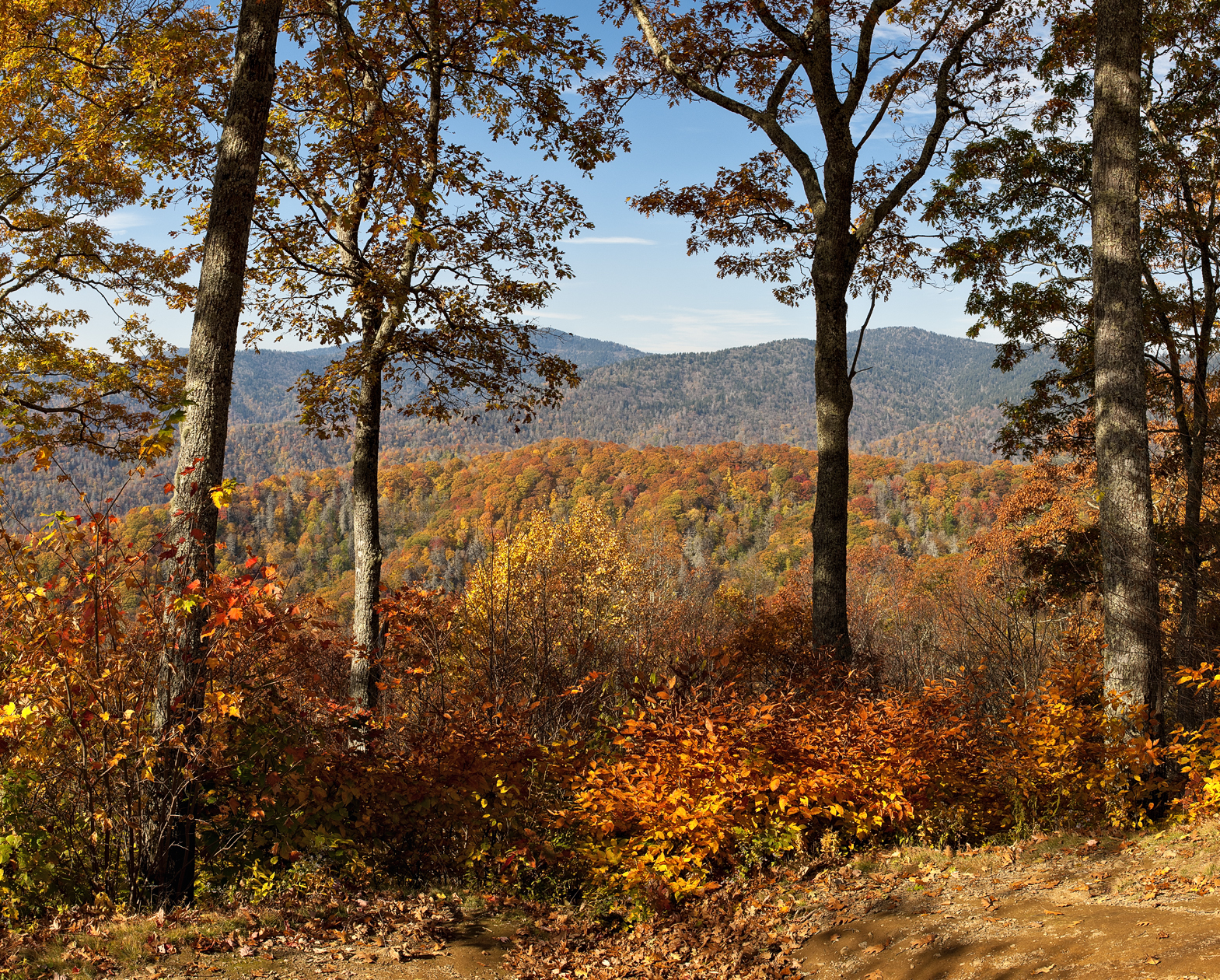 Limited Point of view