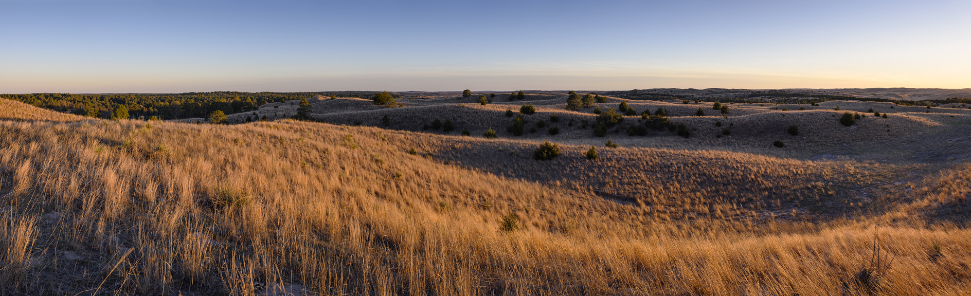 Little Bluestem Evening
